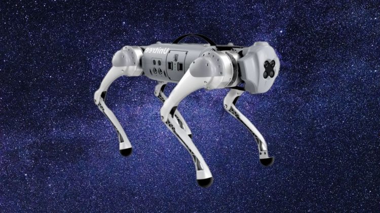 Tecno robot köpek